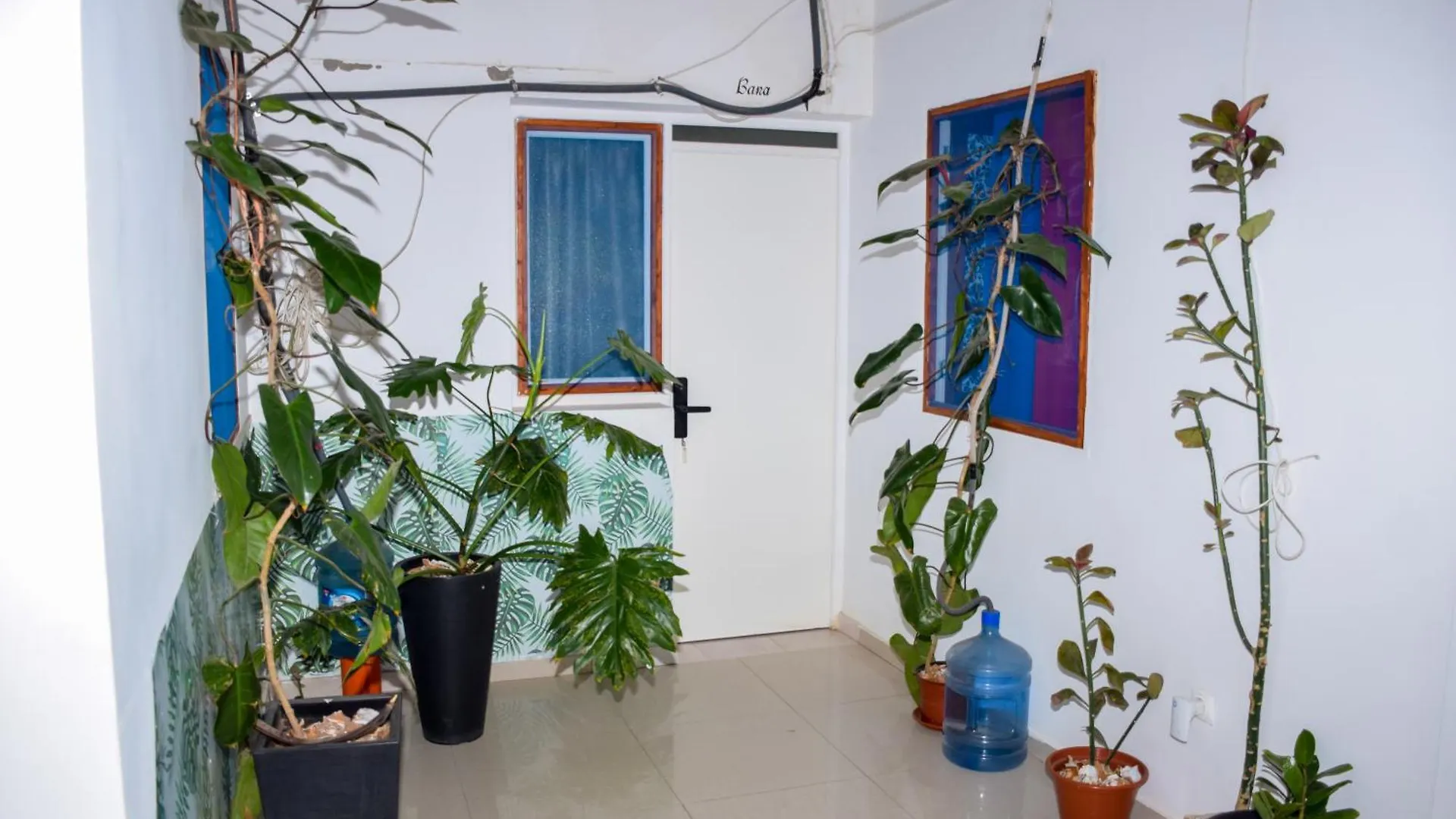 ***  Boutique Hotel Principal ,Tarrafal Tarrafal  Cabo Verde